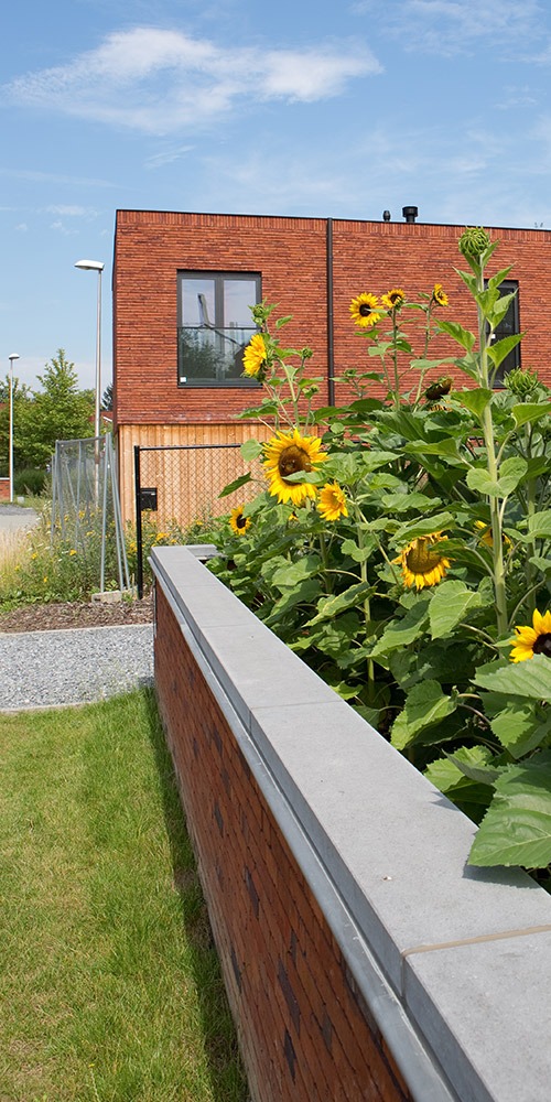 Sociale woningen Crutzenstraat Hasselt Sociale woningen Crutzenstraat Hasselt